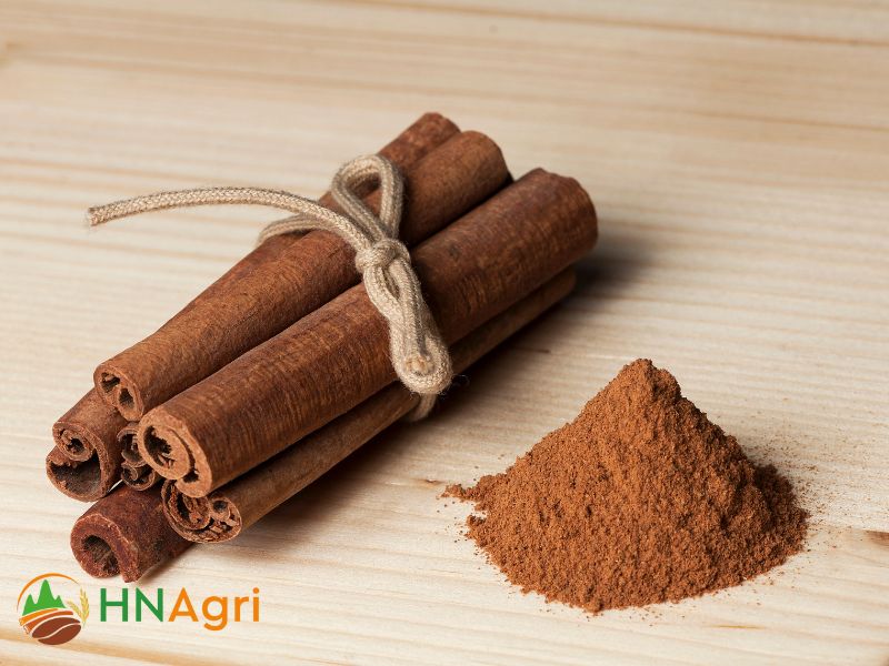 premium-hanoi-cinnamon-manufacturer-discover-the-best-source-3