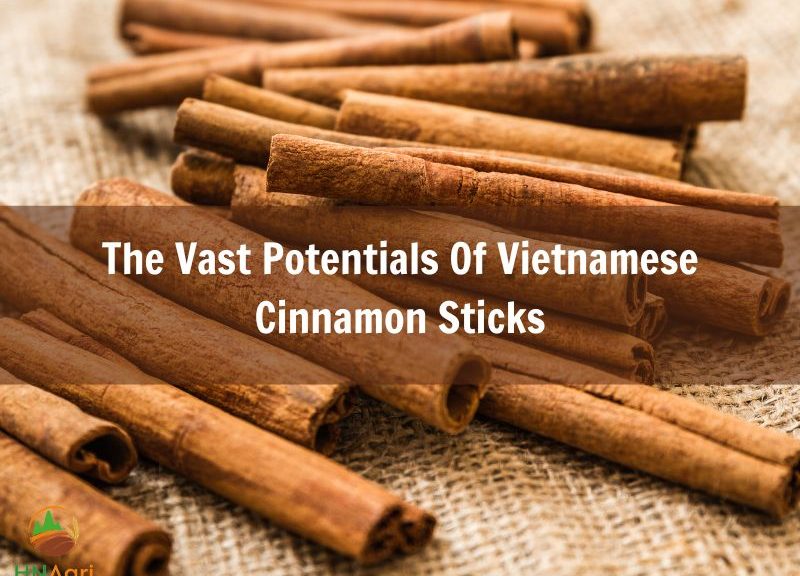 the-vast-potentials-of-vietnamese-cinnamon-sticks