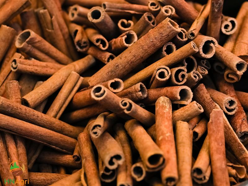 the-vast-potentials-of-vietnamese-cinnamon-sticks-2