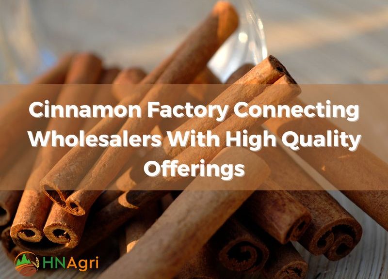 cinnamon-factory-connecting-wholesalers-with-high-quality-offerings