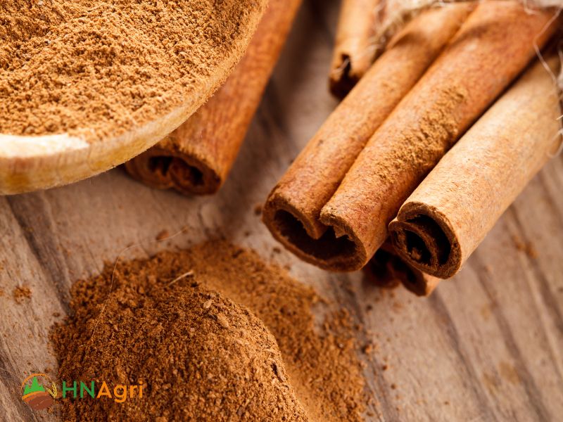 vietnamese-cinnamon-the-golden-gem-of-wholesale-spice-market-1