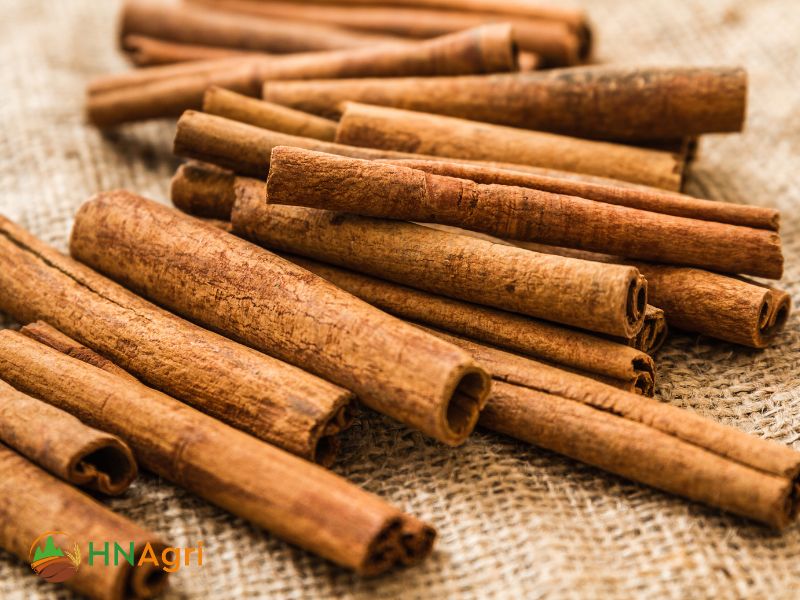 cinnamon-factory-connecting-wholesalers-with-high-quality-offerings-1