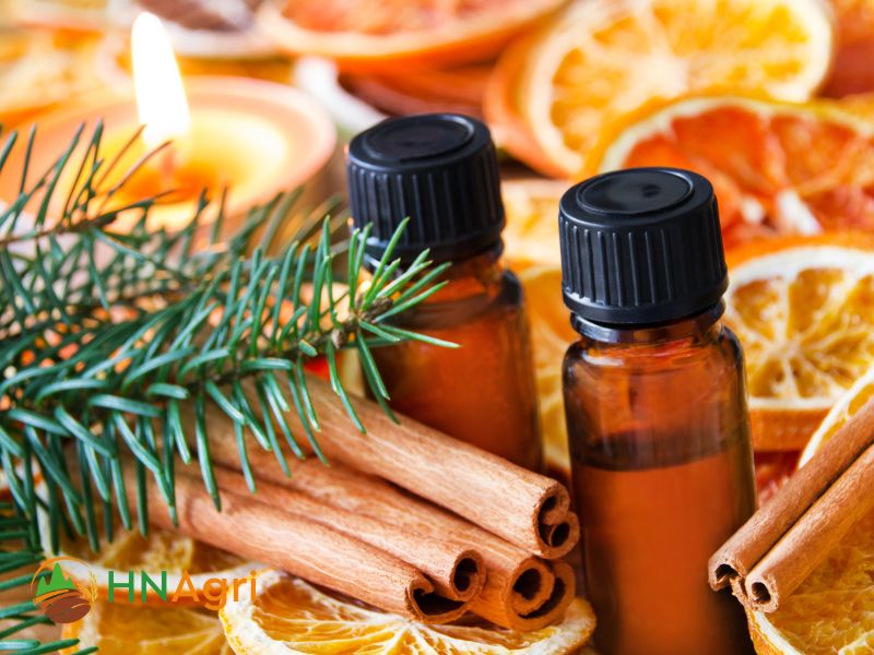 high-quality-cinnamon-oil-wholesale-spice-up-your-offerings-3